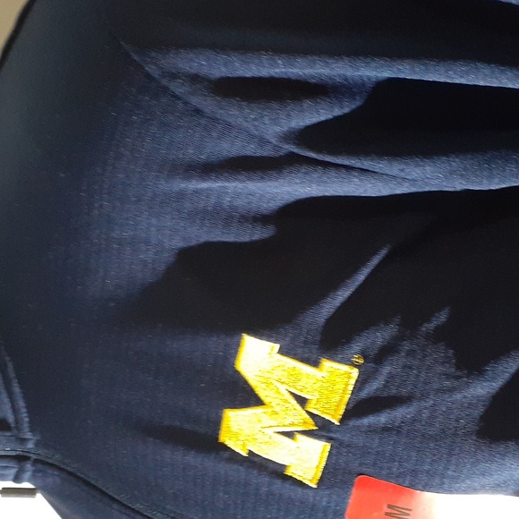 NWT Champion Michigan Wolverines Long Sleeve 1/4 Zip Pullover - Picture 8 of 11